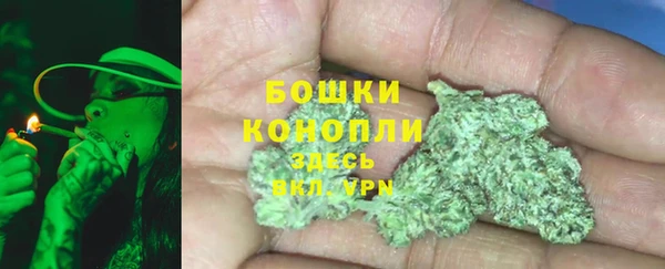 индика Алексеевка
