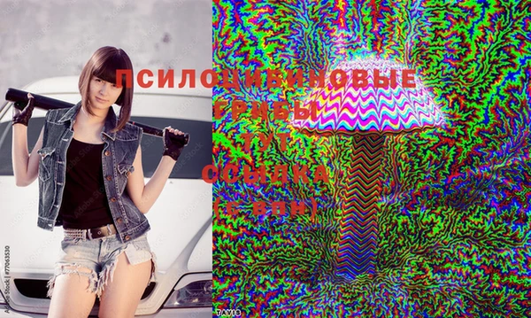 метадон Алзамай