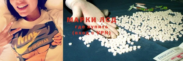 индика Алексеевка