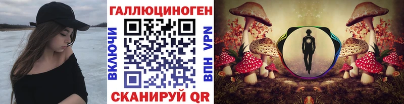 даркнет Telegram  Оленегорск  Галлюциногенные грибы мухоморы 